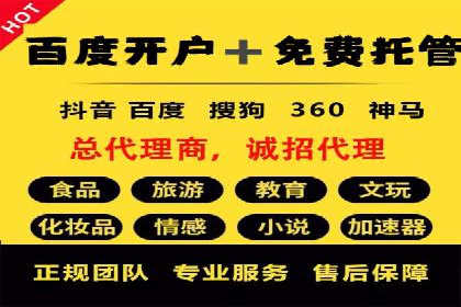 SEM网络推广案例：打造行业影响力品牌